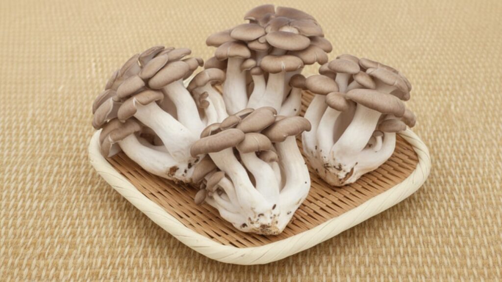 酸っぱい匂いがするときは危険？