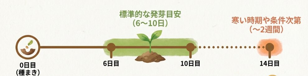 スナップエンドウの発芽日数は何日？
