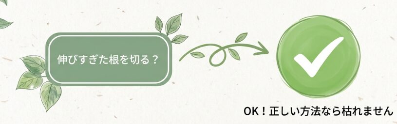 ポトスの水耕栽培で根が伸びすぎた時の対処法