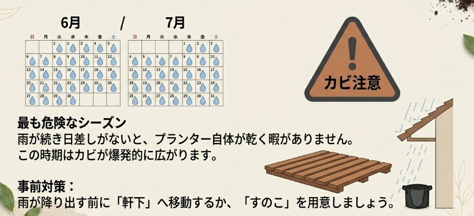 梅雨時期のカビの広がり