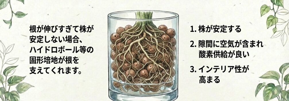 ハイドロカルチャーへの移行も一つの手段