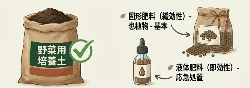 正しい土作りと肥料の選び方