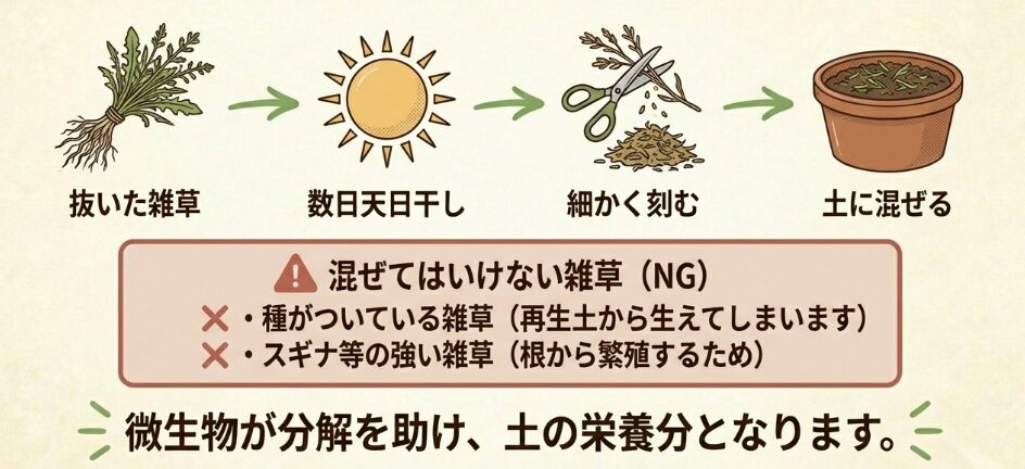 抜いた雑草を一緒に活用