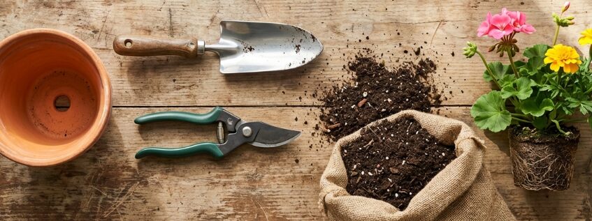 プランターの植え替えで失敗しない！