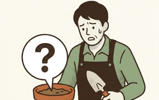 プランターの幼虫の正体と原因