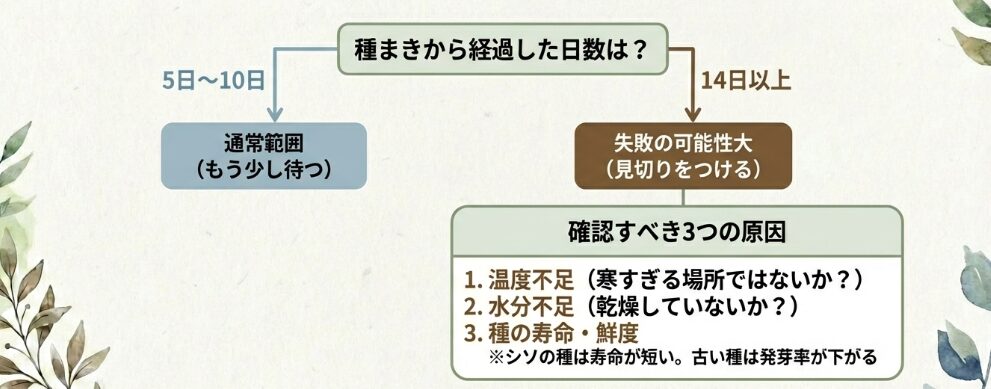 発芽しない原因と日数の目安