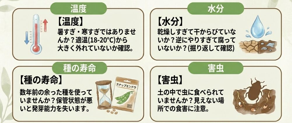 スナップエンドウの発芽なしの原因は