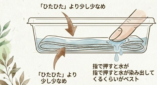 種まきの方法と水分の含ませ方