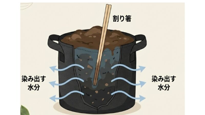 土の湿度とカビの発生