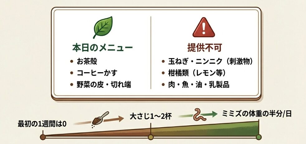 生ゴミを与える頻度と量