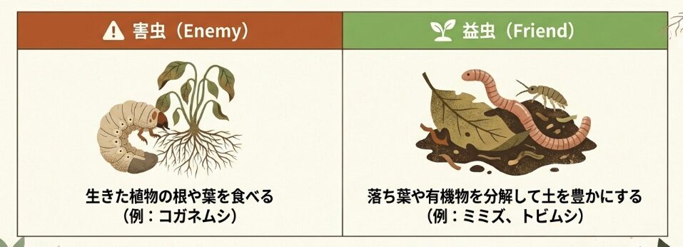 益虫と害虫を見極める方法