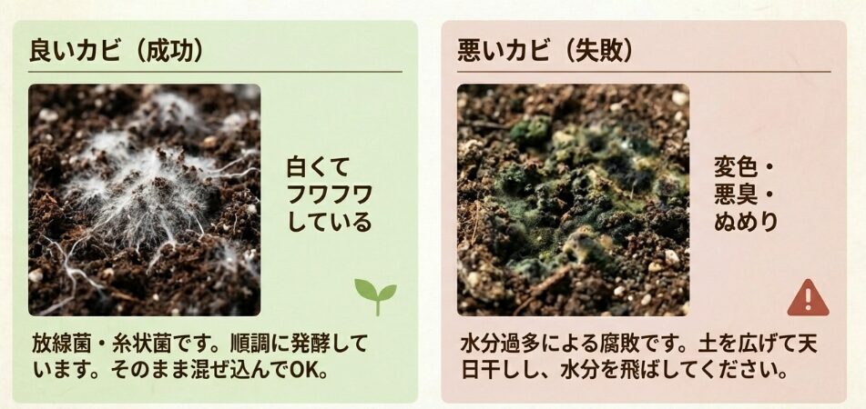 カビが生えた時の対処法