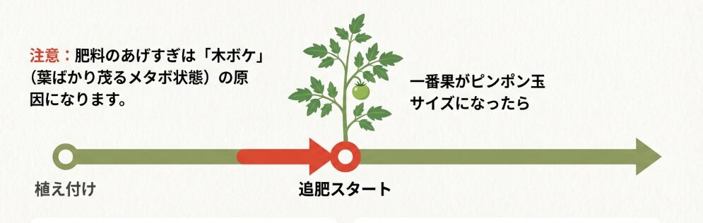 肥料の与えすぎに注意して追肥を行う