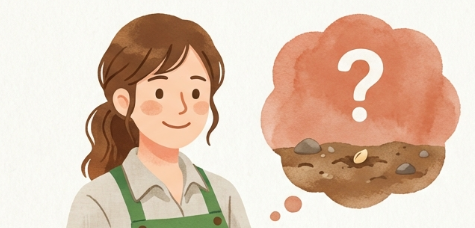 スナップエンドウの発芽日数は？芽が出ない原因や日数を短縮するコツ