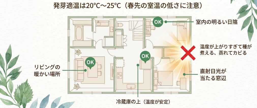 発芽に適した置き場所と温度管理