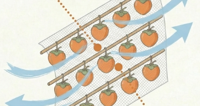 干し方と環境づくりの重要ポイント