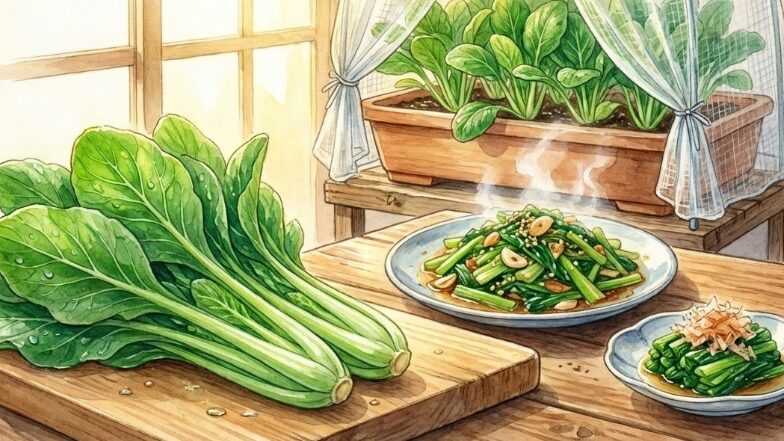 小松菜の栽培にプランターを室内で使うコツ