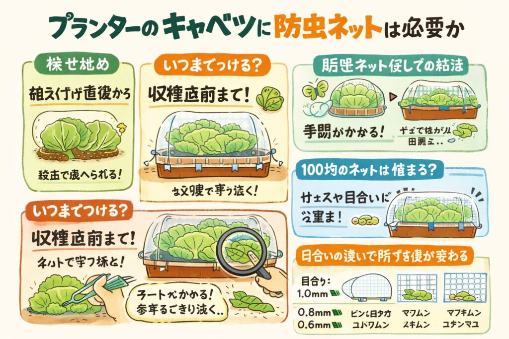 プランターのキャベツに防虫ネットは必要か