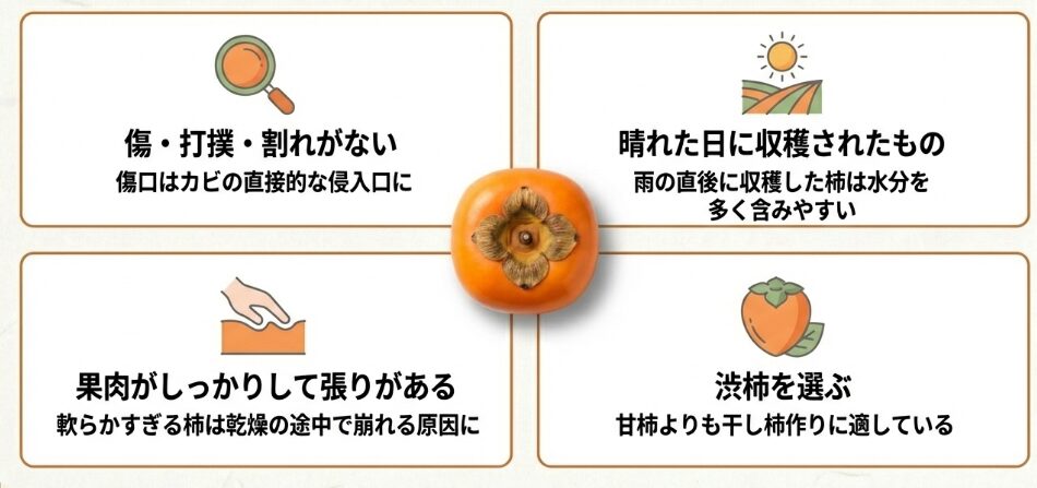 準備段階から始めるカビ対策の基本