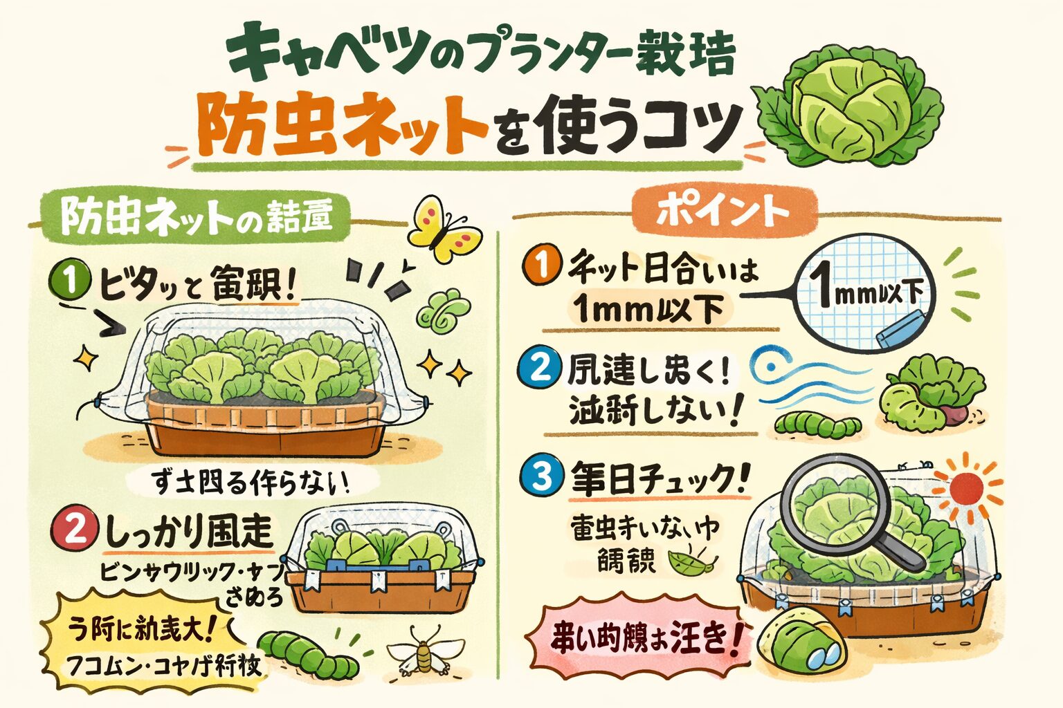 キャベツのプランター栽培で防虫ネットを使うコツ