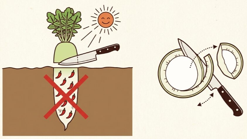 大根おろしがミキサーでまずい時の対策