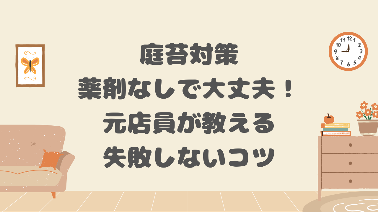 庭苔対策
